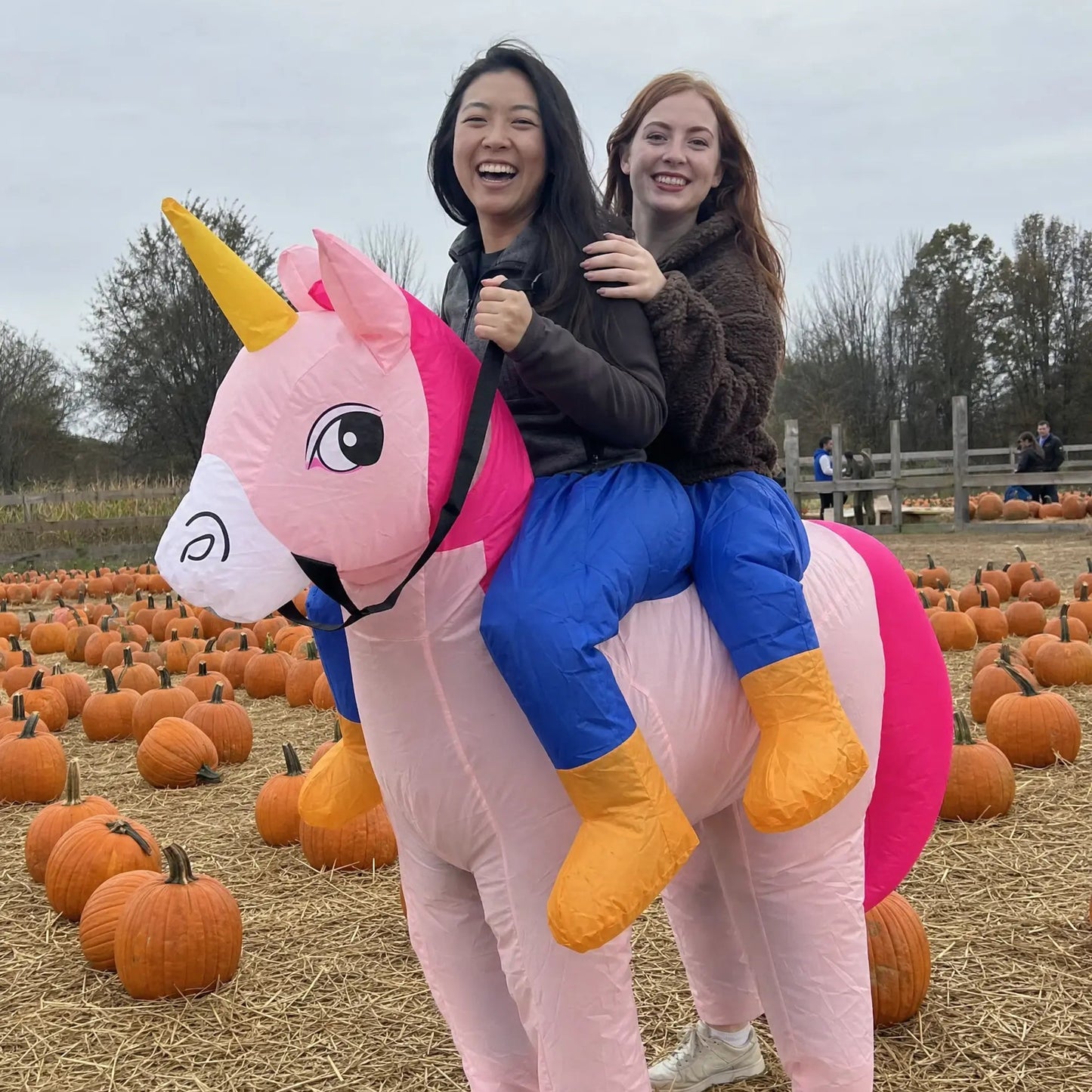 Unicorn Duo Costume